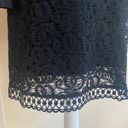 Laundry by Shelli Segal  Black Lace Cocktail Size 6 Sheath Bell Sleeves Classic Photo 4