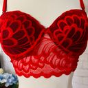 Boutique NEW Red Lace Bustier Photo 3