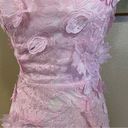 Lulus NWOT  Elevated Sensation Blush Pink 3D Floral Embroidered Midi Dress Photo 2