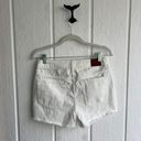 Roxy Denim Shorts Photo 1