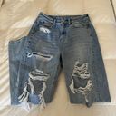 American Eagle Outfitters High Rise Mom Jean Photo 1