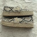 Circus by Sam Edelman Sam Edelman Snakeskin Espadrilles Photo 7