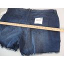 Celebrity Pink  Womens Plus The Sugar Mid Rise Frayed Hem Denim Shorts 24 Photo 5