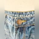 Articles of Society  Ziggy Denim Jean Shorts Marco High Rise Size 28 NWT Photo 1