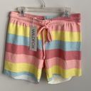 Wildfox Italian Ice Shorts Photo 0