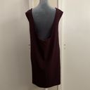 BB Dakota 🔷  Women's Burgundy Shift Dress Low Back Photo 4