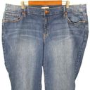 Lane Bryant Short Inseam Signature Fit Mid-Rise Straight Leg Jeans Photo 1