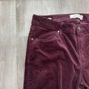 Calvin Klein Jeans legging velvet Maroon Photo 0