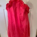 Main Strip L  Pink Organza Dress Photo 0