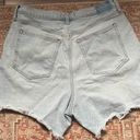 Abercrombie & Fitch Curve Love Shorts Photo 2