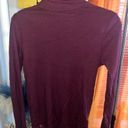 Polo Burgundy  Ralph Lauren Turtleneck Top Photo 0