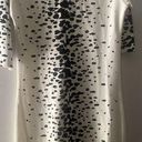 French Connection  Womens Designer Dress Size 8 Black &‎ White Stretch 3/4 Sleeve Photo 1