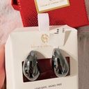 House of Harlow  Earrings Chrome Drops NWT! Photo 0