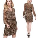 White House | Black Market  Brown Leopard Metallic V-neck Long Sleeve Dress- Size 6 Photo 1