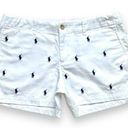 Polo NWT  Ralph Lauren Pony Embroidered Shorts Photo 0