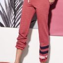 Sundry Stripe Classic Basic Jogger Sweatpants in Ruby Photo 0