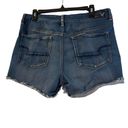 American Eagle  Outfitters High-Rise Super Stretch Shortie Shorts Size 14 Photo 1