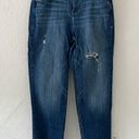 Lane Bryant  jeans size 14 straight leg pants cotton blend some distress fall Photo 1