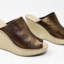 The Moon [Rachel Comey]  Wedge Platform Sandals Slides Lea Bronze Leather NWT Sz 10 Photo 0