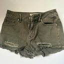 PacSun Bullhead High Rise Jean Shorts Photo 0