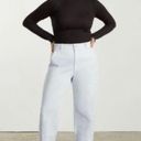 Everlane Utility Barrel Pants Photo 0