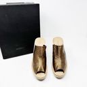 The Moon [Rachel Comey]  Wedge Platform Sandals Slides Lea Bronze Leather NWT Sz 10 Photo 1