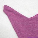 Beach Riot NEW  Vanessa sparkly glitter bottoms beetroot purple, XS Photo 9