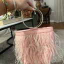 Pink Feather Purse Photo 0