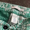 Bermuda St.  Aumont  Green Shorts Size 10 Photo 3