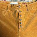Pilcro skinny high rise button fly corduroy pants women’s 32.  by Anthropologie Photo 1