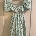 ZARA Floral Cut out Dress Photo 1