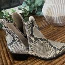 Steve Madden  Conspire Studded Snakeskin Ankle Boots Size 6.5 Biker Moto Booties Photo 3