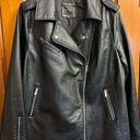 Lane Bryant  Thin Moto Leather Jacket worn 1X Great condition, for 40-65 degrees Photo 3