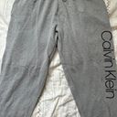 Calvin Klein Jeans Grey Sweatpants Photo 0