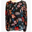 Who What Wear  Womens Floral Long Sleeve Semi Sheer Blouse Multicolor Small Photo 0