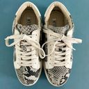 Myra Bags Myra Round About Faux Snakeskin Leather Lace Up Platform Sneakers Photo 5