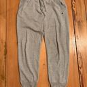 Champion Gray  Sweatpants Photo 0