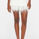 Frame NWT  White Crochet Feather-Trim Mini Skirt. Size Medium Photo 2