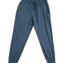 Zyia  Active Perfection Athletic Jogger Pants | Heathered Navy Blue | Small Photo 1