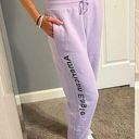 American Eagle  Purple Sweatpants Photo 0