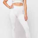 SoulCycle NUX White Animal Set Photo 0