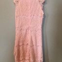 Xenia Pink Lace Dress Photo 1