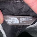 The North Face  charcoal gorpcore outdoorsy 12 long shorts Photo 1