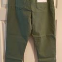 Celebrity Pink NWT  Size 13 Green Pants Photo 1