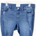 Lane Bryant GIRL WITH CURVES x  Blue Denim Ripped Distressed High Rise Crop Jeans Photo 8