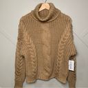 FOR THE REPUBLIC  Brown Chunky Cable Knit Turtleneck Sweater Size Large Photo 0