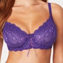 Frederick's of Hollywood  Pink Lace Bra Photo 1