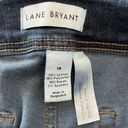 Lane Bryant High-Rise Jegging Photo 3