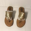 Born concept  slide on Thong sandals women size 9 M Photo 2