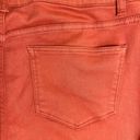 Dress Barn  Straight Denim‎ Jeans Women's Size 8 Taracotta. Photo 4